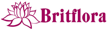 Britflora Dried Flowers - Home