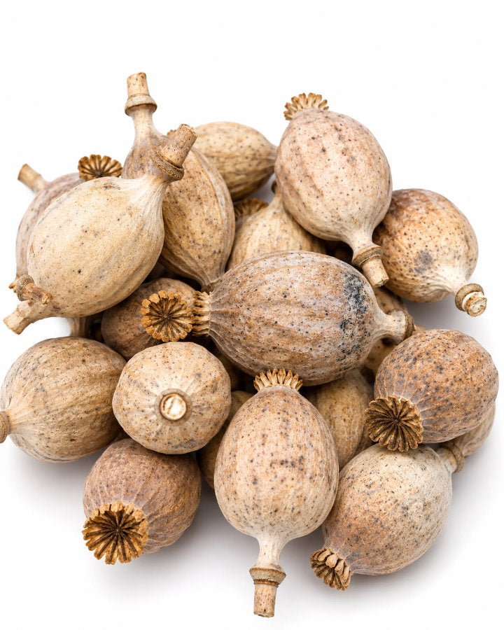 Dried Seeded Poppy Heads (UK) - 1kg