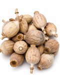 Dried Seeded Poppy Heads (UK) - 1kg