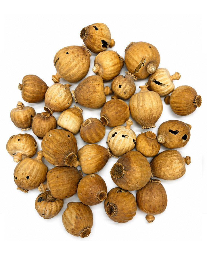 Seedless Flower Heads (Austria) 250g