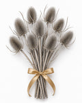 Teasels (Silver)
